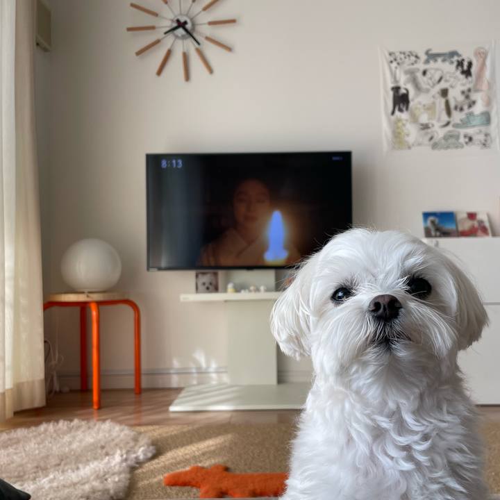 54951846 a5bd 443c a3cd b7b117fabebe 1774567096109