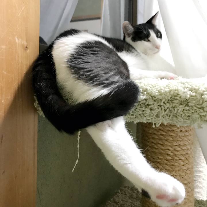 549533af 4ff8 4a45 8c25 1fcc5ad8b5e0 1535380698205