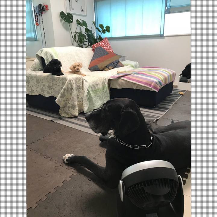 549537e0 889b 4b95 90b2 69a74187f622 1531435945339