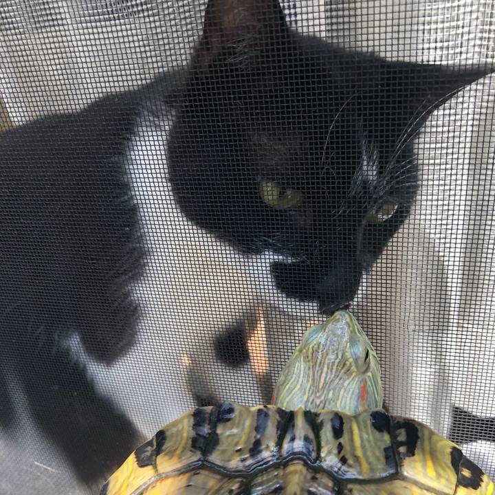 54959c2b ea39 4d5e a321 43bd2b3fbaaf 1588651320874