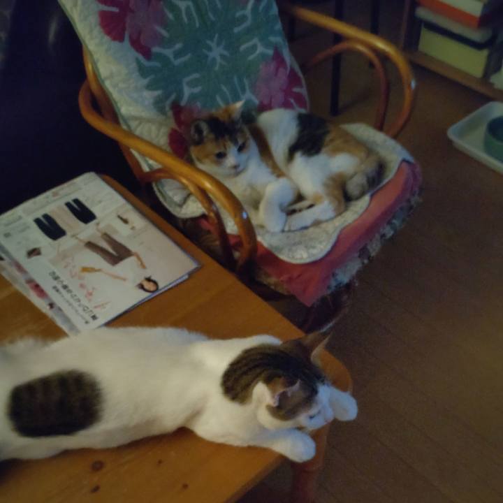 5495bf10 3303 4c39 9ca6 a90c2d0d3af6 1689947962014