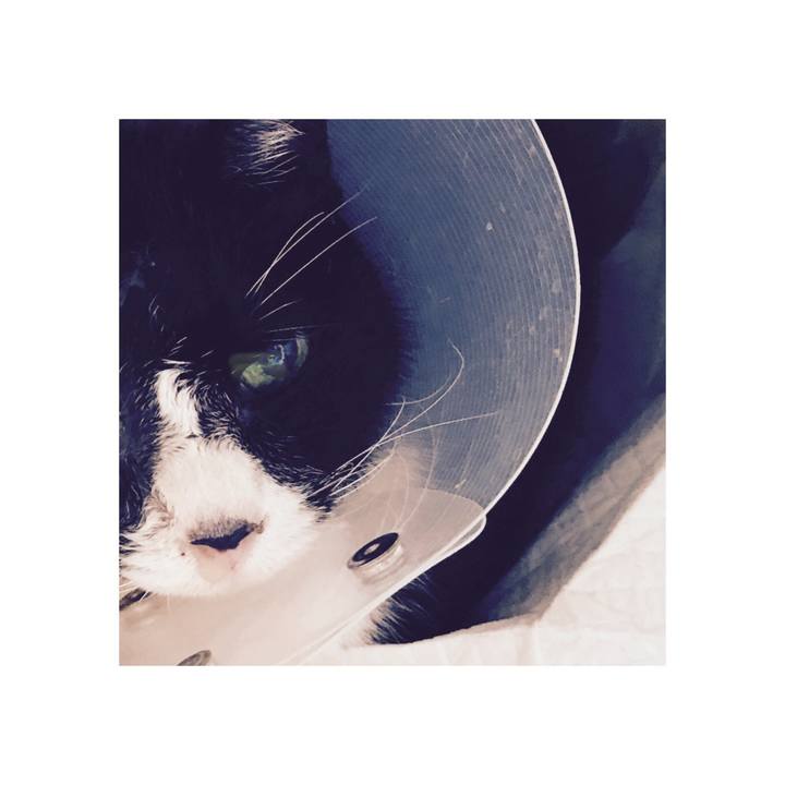 5495db60 d3d6 4431 a1f9 afbe1a9ec0fc 1590212914767