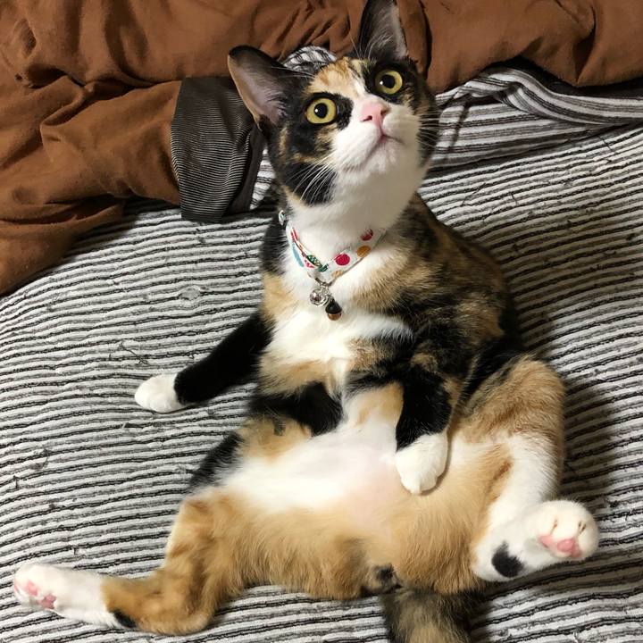 5495e9a2 6c7a 4850 a408 c6db849ff56e 1559905167026