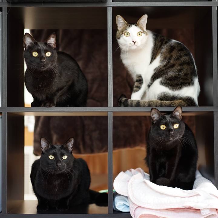 5495f375 4d37 477f b4fb da306e665e8e 1552347519361