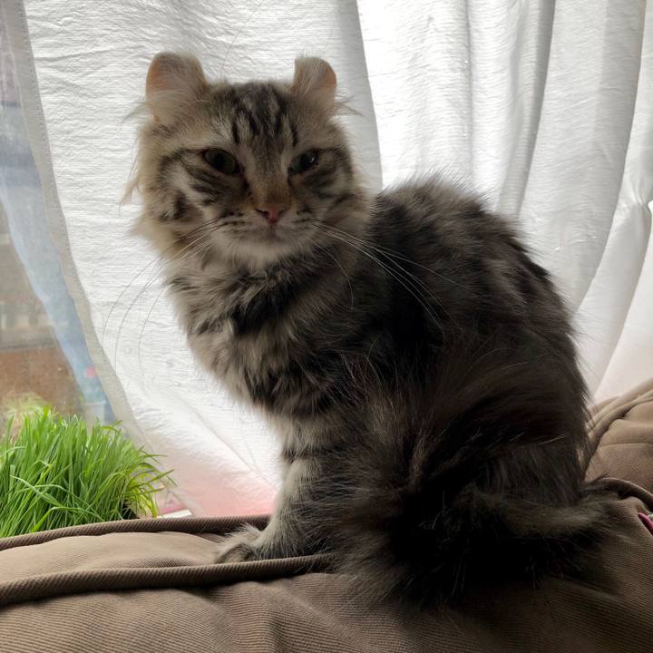 54964724 4ad9 4331 8e05 afbe1c7c7c45 1523756810094