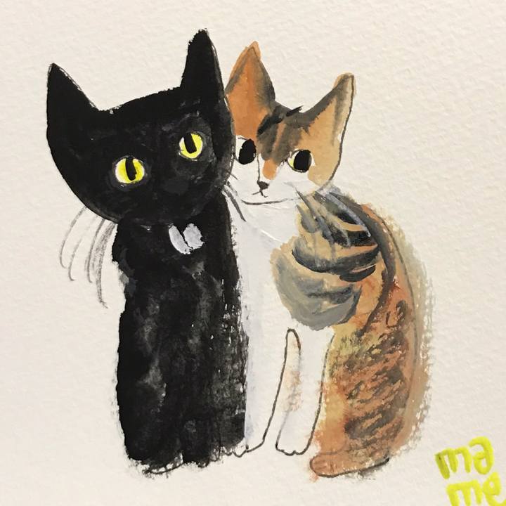 54968bdd af0e 4615 9322 b5ff5156796e 1562935503578