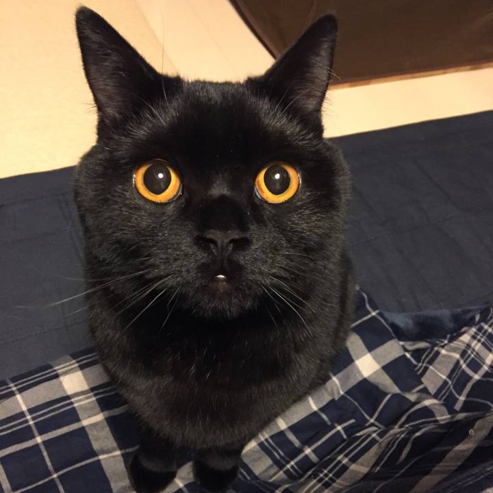 5496add6 49ce 4036 b8ba 0c8e2e250909 1519218189982