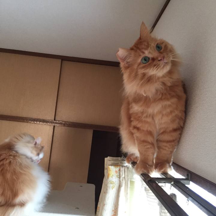 5496c62f b5ba 4009 9307 eea9f58036ff 1521586466666