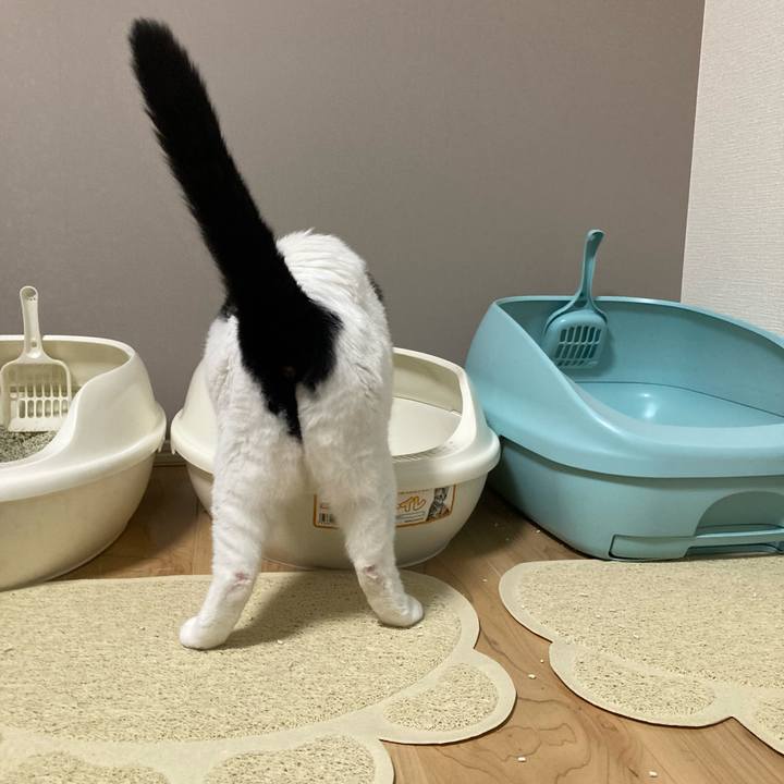 5496cfe9 b5bb 4020 8e95 f36195dbd9e8 1760780366601