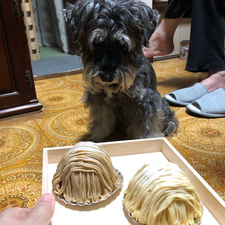 5496ef7a 37cf 4558 8e22 74abd6f58a6e 1696487838432