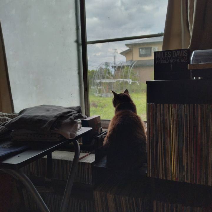 549753d1 71a0 4f5d a6f9 6ea7b7ffa360 1720519628360