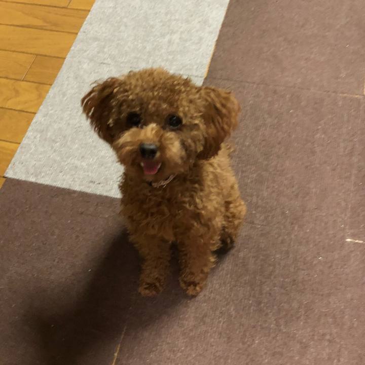 54979137 b14d 4b36 bb8c 36b42d718ae7 1508632402489