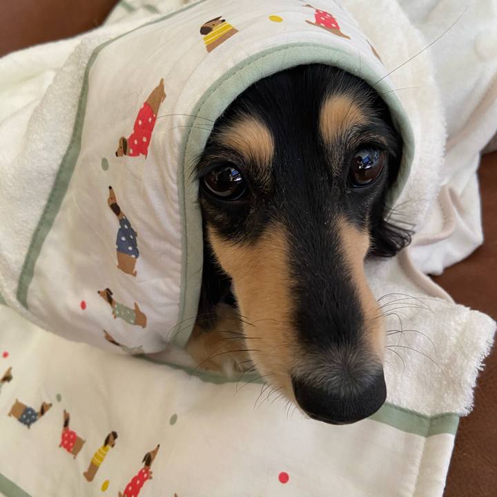 5497b6dc e8eb 4084 b460 2f4bdf8cb2a0 1737682743200