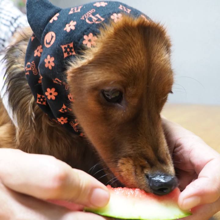 5497bfd5 3ddb 4070 9595 f51ce920b7ad 1718520794172