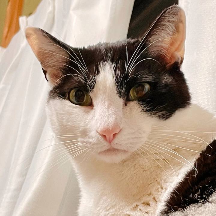 5497e22a c5ef 414a b08b 097f56a426a8 1621305467383