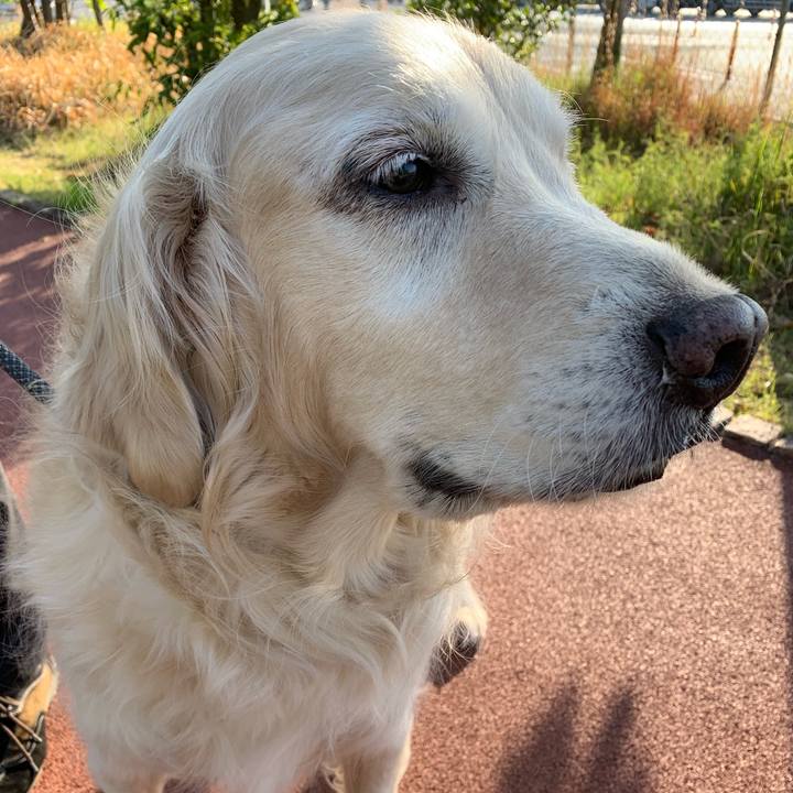 549810fa 4bf7 42fa 8f47 e9741432dc94 1555543132776