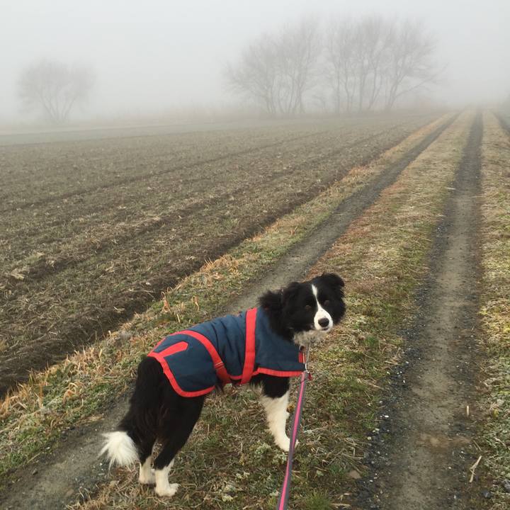 54982e97 8e8d 47f1 97dd 43a9628bbf21 1517612298656