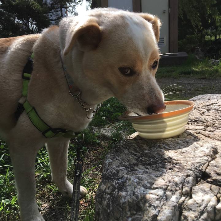 5498390d af90 4e2e 8123 1e0794a031e5 1527824877958