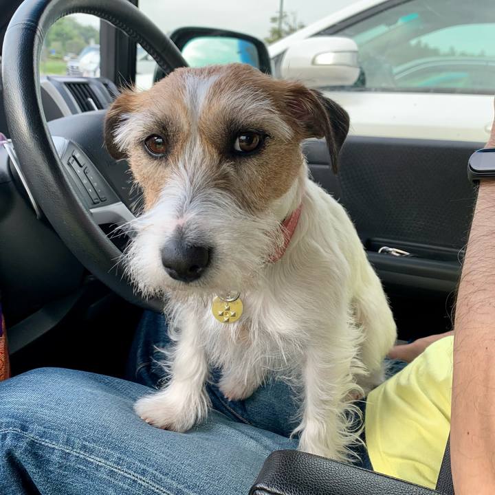 54984c29 19db 47e3 bb64 de26153d9882 1619869533057