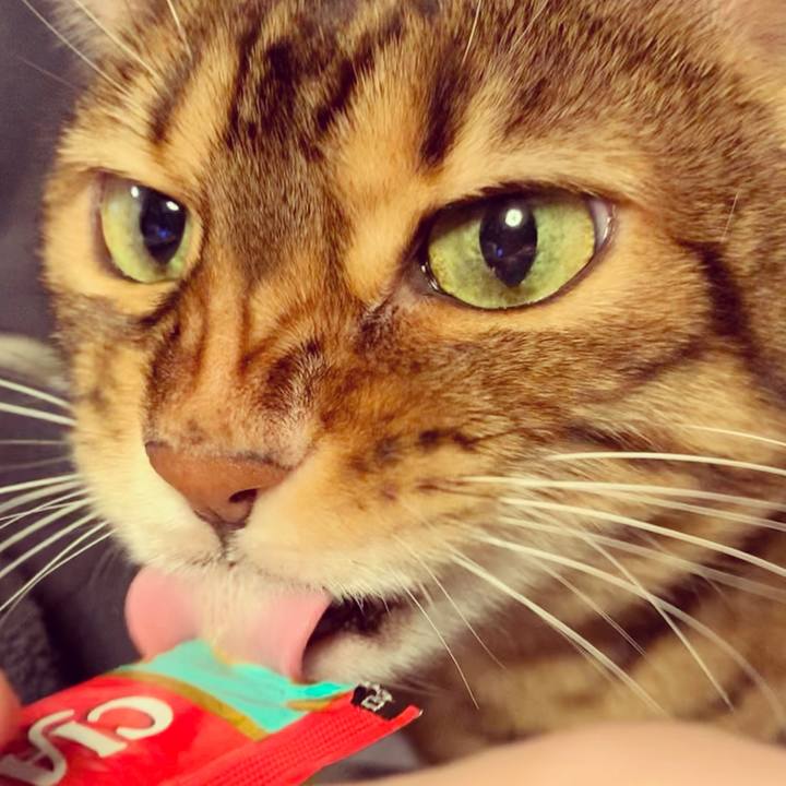 54989b60 92a9 4046 bc14 235e0e9b549c 1608687465183