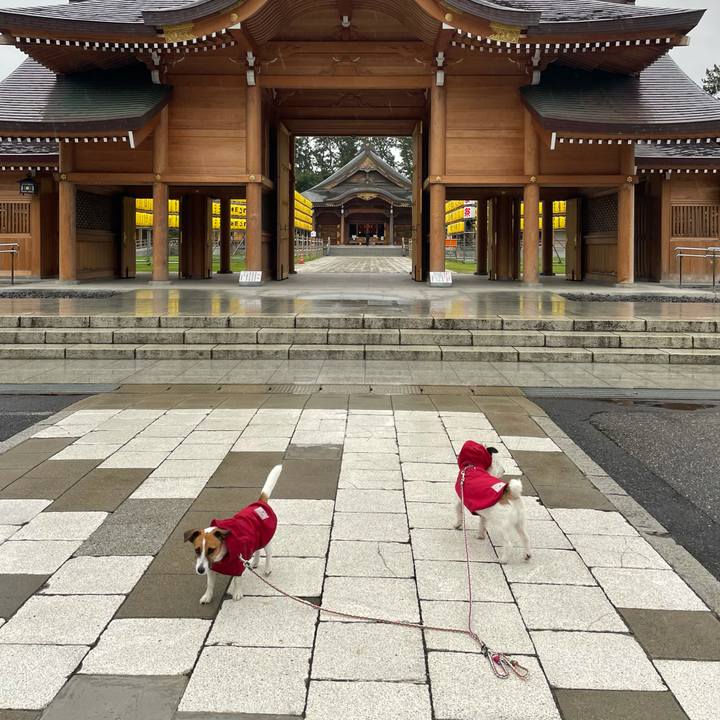 5498be64 7c6f 4912 9d85 7abc06d2c17b 1628808160329