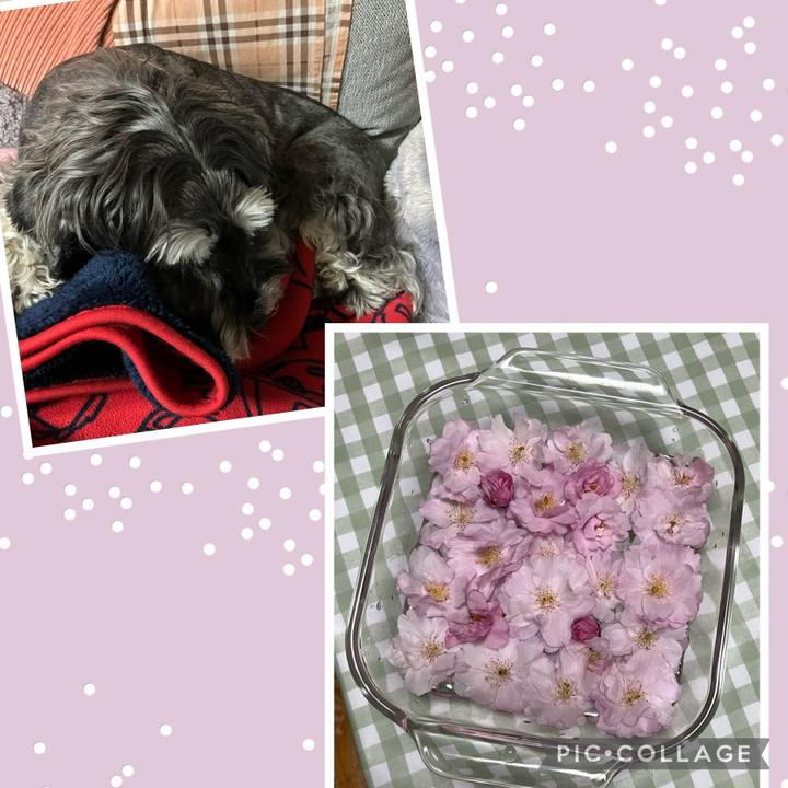 5498ea83 a76e 4994 9ee6 324c8433a514 1713187577531