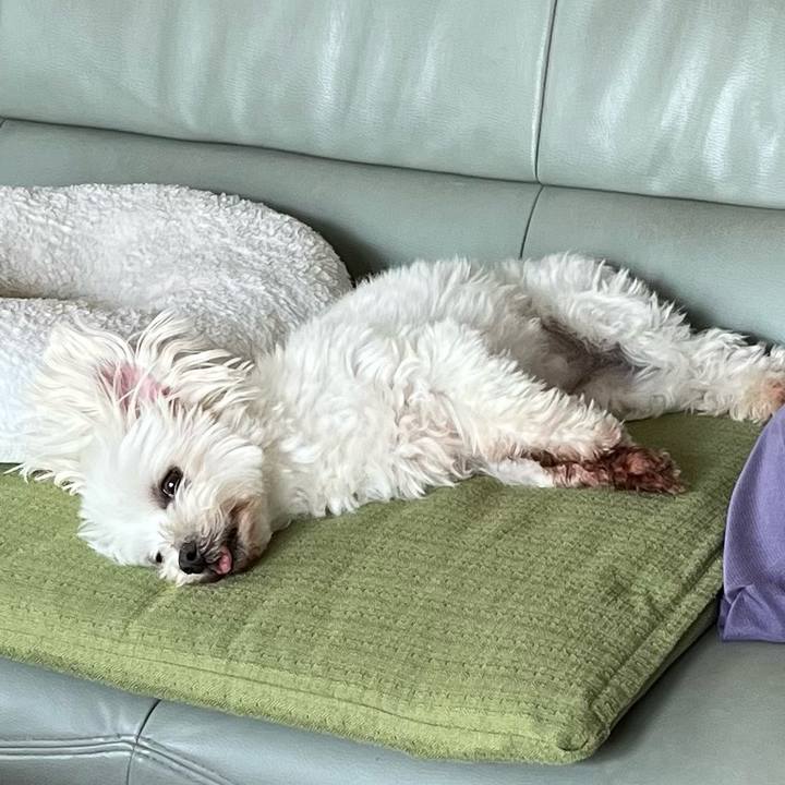 54990dd5 95e7 43d5 92d2 2807b7f29e47 1653440985769