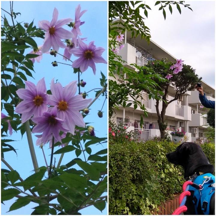 54990ea5 739c 4e4a 800d 021ecac0a9e4 1605225890243