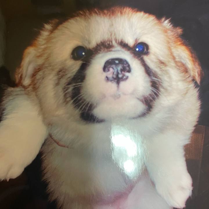 54994cba f25d 4227 867c 1d84274bd43e 1619525513721