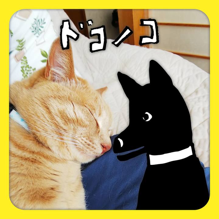 54999b62 d18c 48d6 b723 2de182947161 1622940387030