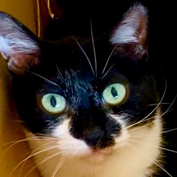 5499a9dd 47b9 48db abc7 a806f1bdf570 1750465641820