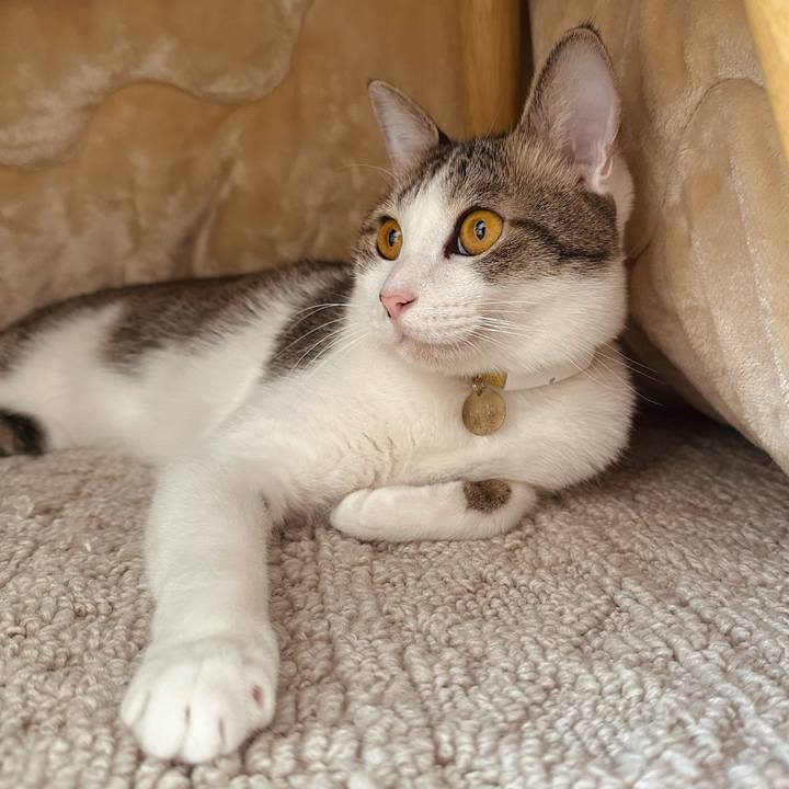 5499aa28 3523 4095 9ec5 4dcd04b9d5ff 1767759720776