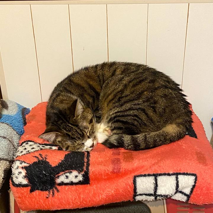 5499b0cc 7139 4c06 bdb1 ac5aac4fcfaa 1638121472393