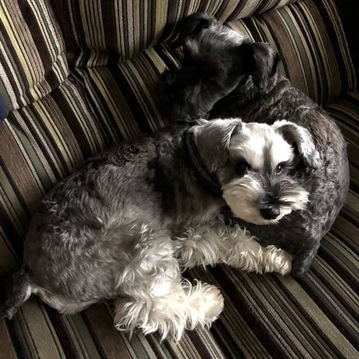 5499c94f 56d3 4359 b8af 2f3fc4052977 1574822708695