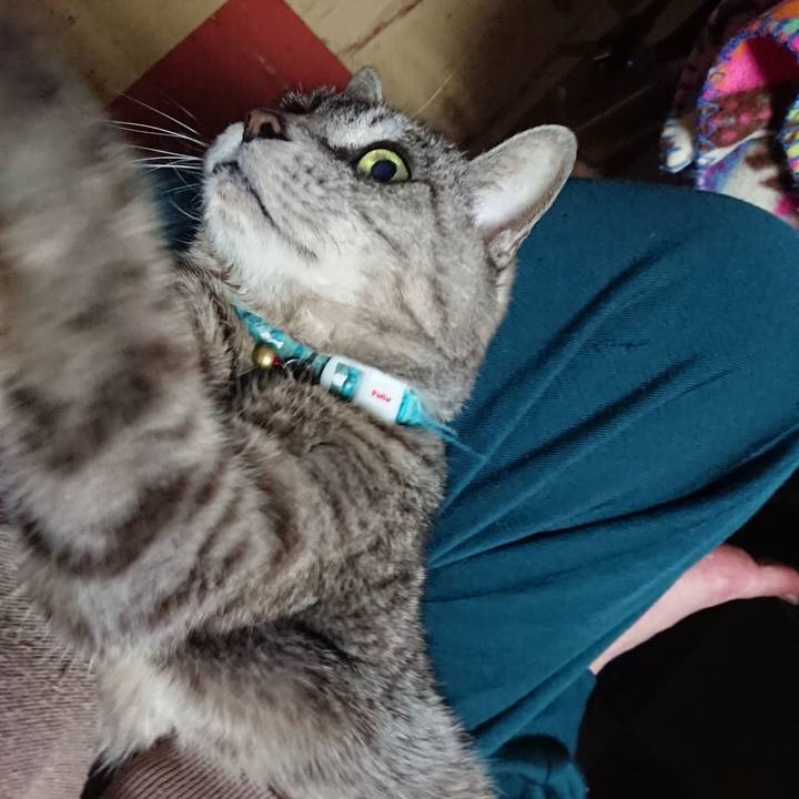 5499dea6 643f 42e9 b97f 01cb0fcd787f 1557829232747