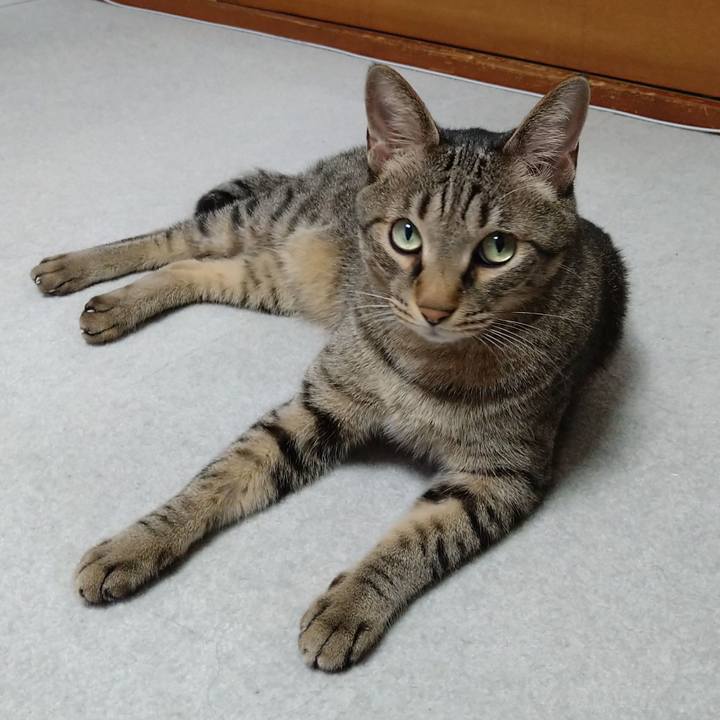 5499ec1c 8b9c 4e6c b4be f0c74b5a832c 1626428538595