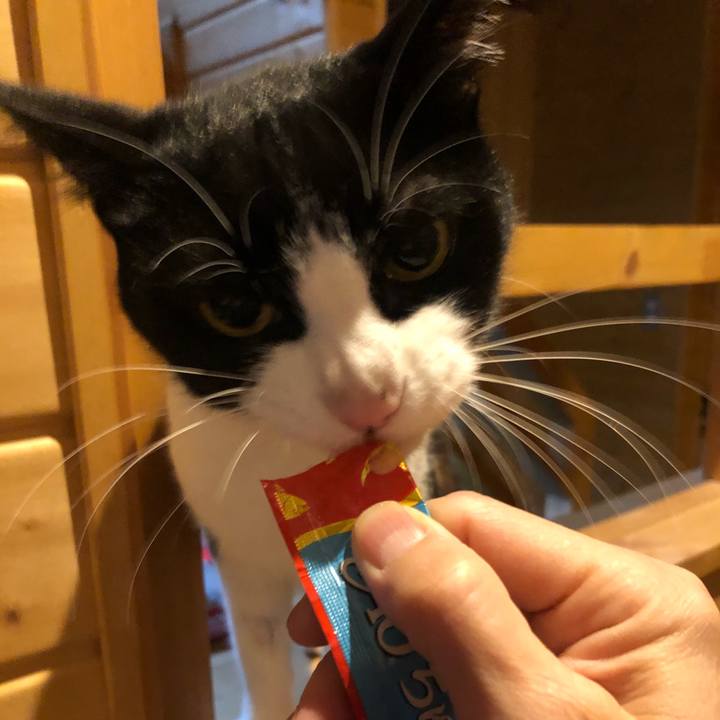 549a078b b48c 4e59 b4a1 1ee2cd97fef5 1586072957233