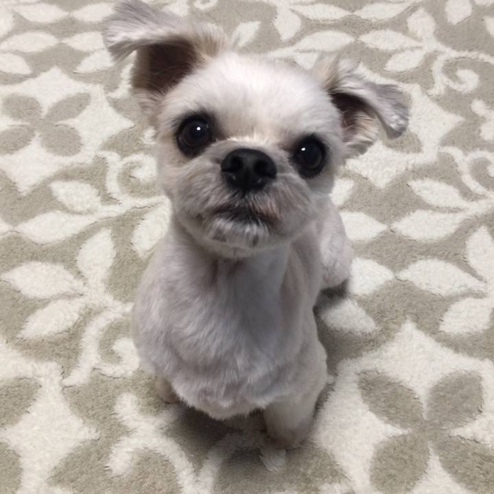 549a1129 aa9e 4fb1 95ea 7234ae4e8231 1543651470452