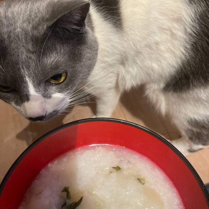 549a1db7 1065 4c7c 8974 4630caa1d1ea 1736249621092