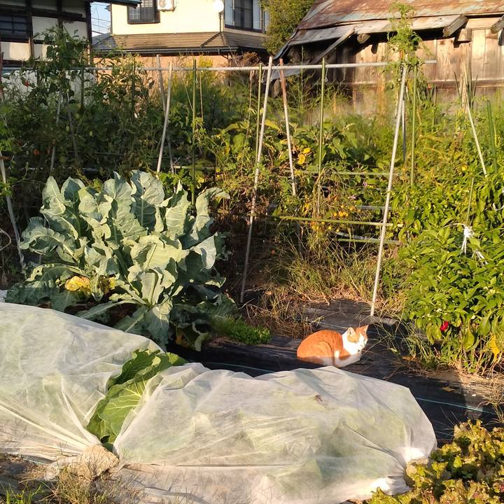 549a5213 ffe4 40ec a685 cc10b37decfd 1759998871117