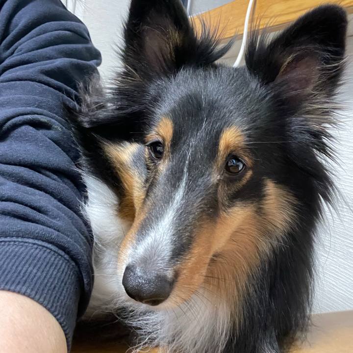 549a5845 a748 4e68 be18 5a63435e58e7 1645134489092