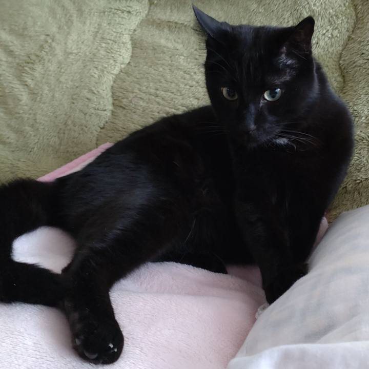 549a71c6 97af 487d bbd8 f72a2246e37e 1651366283549