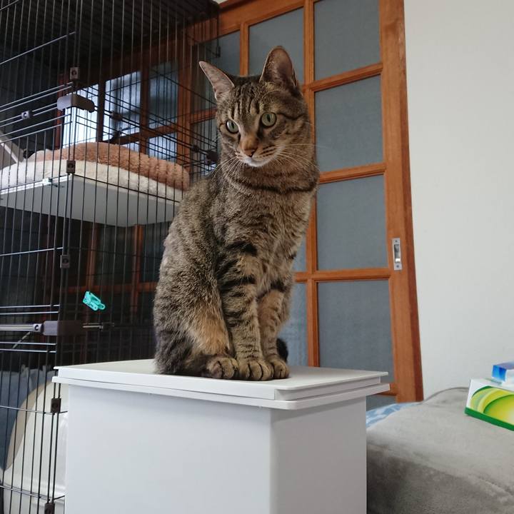 549a97ce d6ab 40f7 924f 8fb8f74265ce 1581820020300