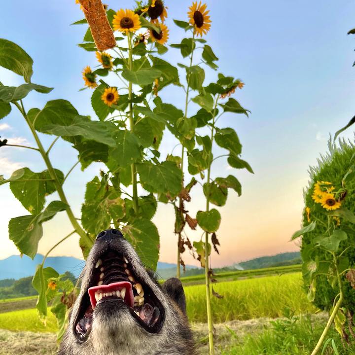 549aacd3 3cbc 40bc 9db6 874fbad6fc17 1598529923401