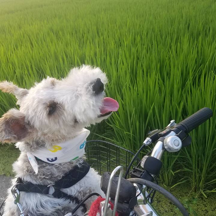 549abb7e 5ebf 4378 98e0 f108c54201ab 1564320878036