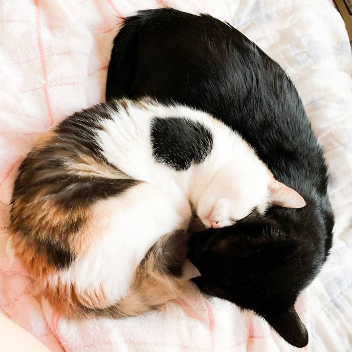 549acfd2 1dee 42ab 993d bd96e5b12c9b 1568857466018