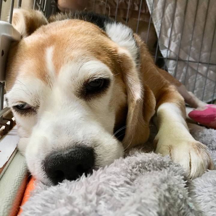 549ad969 28ac 4c0b a018 b7472980e040 1557632024194