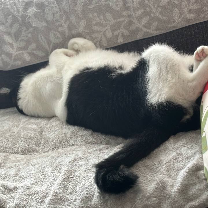 549adaed 4518 48f5 bc77 7f7f9787698c 1757898797980