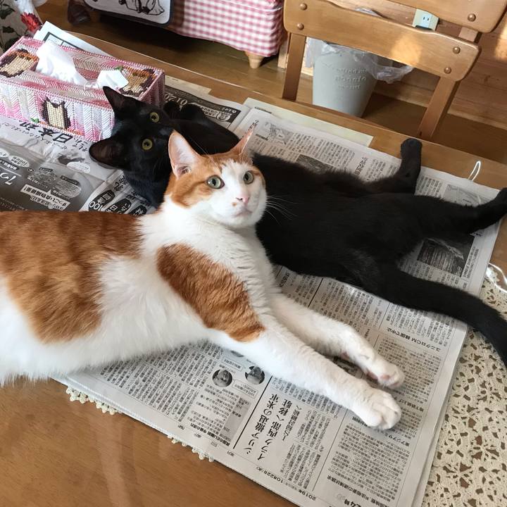 549ae5c5 6035 469e a17d 32e30c48653b 1571700253342