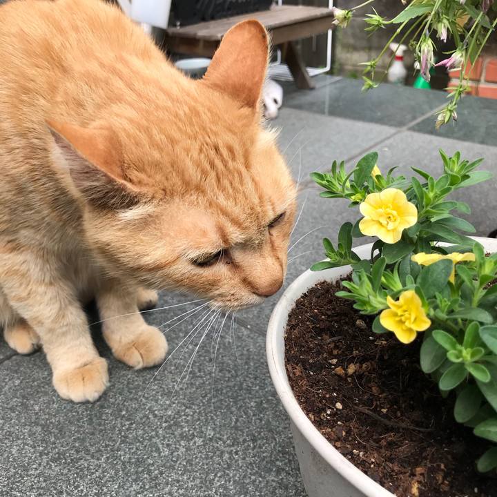 549b0076 5b44 47ec a303 90790475d6ab 1524470509126